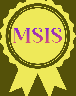 MS Intern Solutions